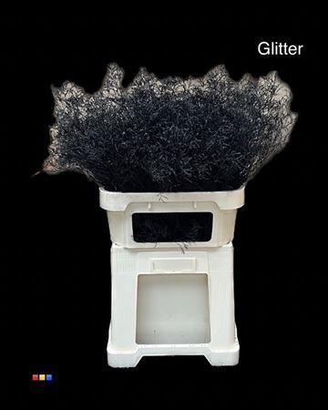 <h4>Limonium Black + Glitter Bio</h4>