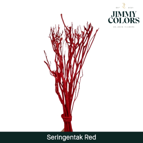 <h4>Seringen Tak L65 Rood</h4>