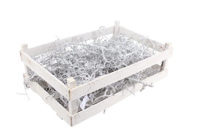 <h4>Bonsai Wooden Box White</h4>