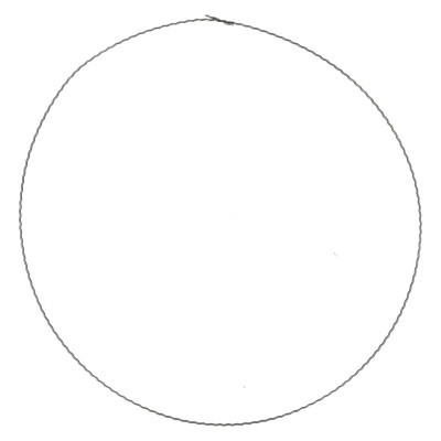 <h4>Bloemisterij Ring metaal d40cm</h4>