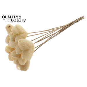 Luffa Heart on stem Natural