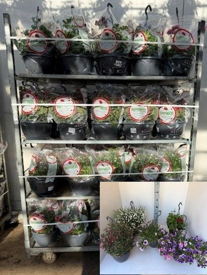 <h4>PERKPL MIXK</h4>