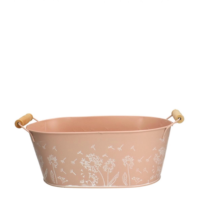 <h4>Zinc Celo tray 25*15*10cm</h4>