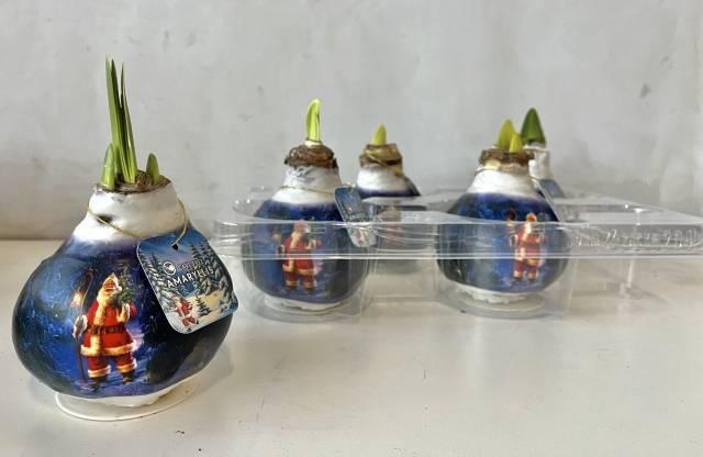 <h4>HIPP WAX SANTA X4</h4>