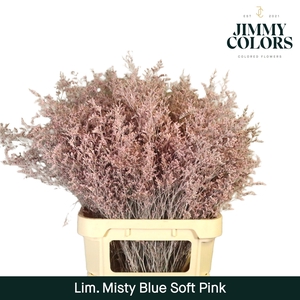 Lim Misty Blue L90 Soft Pink
