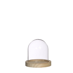 Glass Cloche+wood d10*10cm