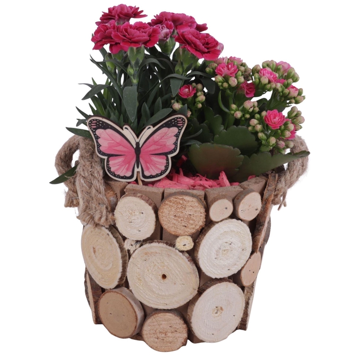 <h4>Arr.   Tuinplanten L%</h4>