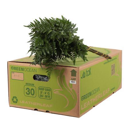 <h4>LEDERVAREN MEDIUM GREEN OCEAN</h4>