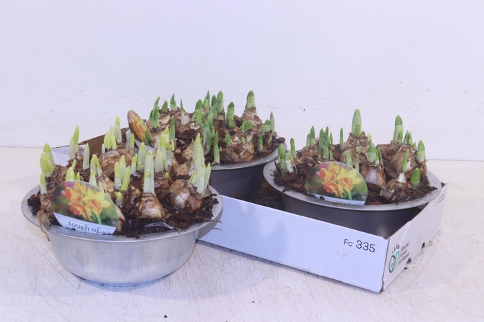 <h4>ARR N TETE A TETE</h4>