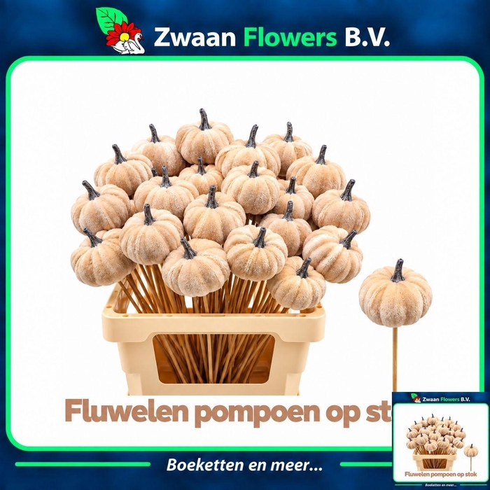 <h4>HUIS EN TUINDECO H%</h4>