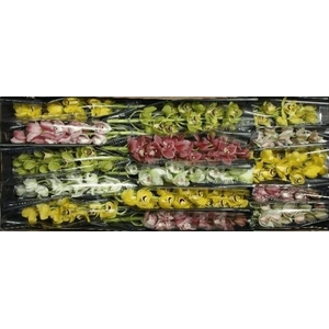 Minicymbidium mix