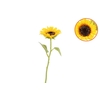 Silk Sunflower Yellow 45cm