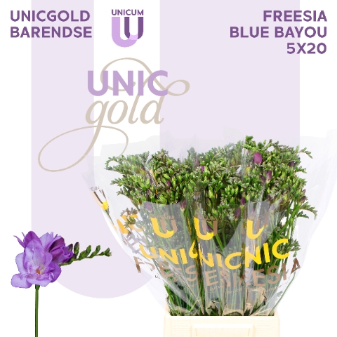 <h4>UG Barendse - Blue Bayou 5x20</h4>