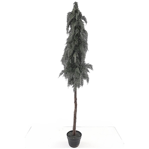 Cedar Cone Tree on Stem in Pot Green XM660036GRN