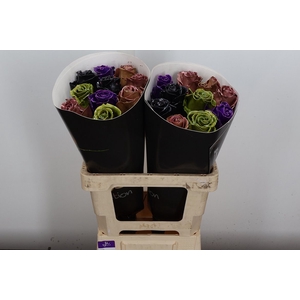R Ov Wx Herfst Mix W120
