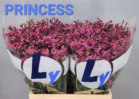 <h4>Lim Sin Princess Dia</h4>