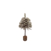 Festive Tree Poplar Moss With Snow 25x25x60cm