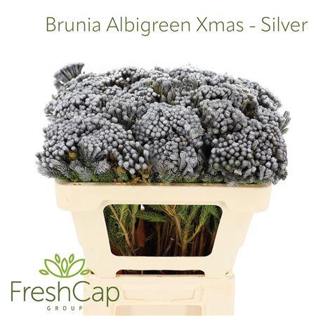 <h4>Brunia Albigreen Xmas - Silver</h4>