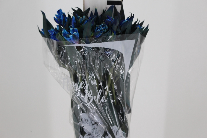 <h4>ALSTROEMERIA TINGIDA 080 CM AZUL</h4>