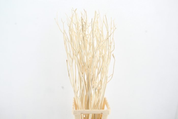 <h4>Mitsumata Bleach Bs(3)</h4>