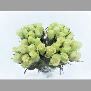 BQ Mono Rozen Wit x10 50cm