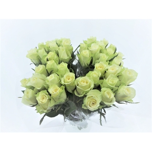 BQ Mono Rozen Wit x10 50cm