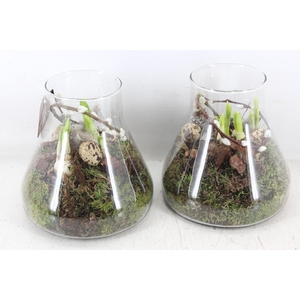 arr4 Narcis MB - Glas paris kl. 285/6