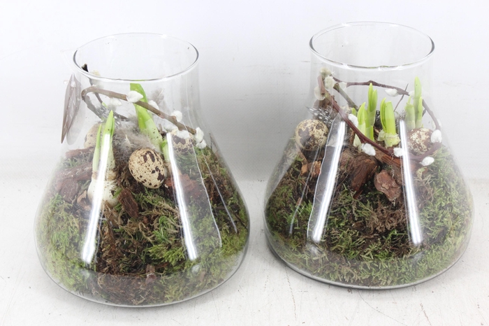 <h4>arr4 Narcis MB - Glas paris kl. 285/6</h4>