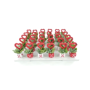 arr3 AD - Hartjes dobbelsteen x30