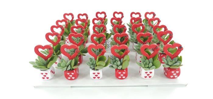 <h4>arr3 AD - Hartjes dobbelsteen x30</h4>