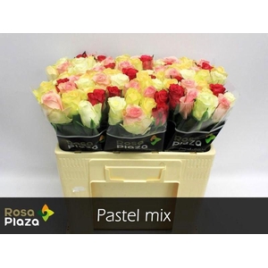 R GR PASTEL MIX#