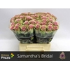 R Gr Samantha Bridal