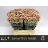 R Gr Samantha Bridal