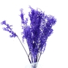 Pres Ruscus Soft Bleached Lavendel Per Stem