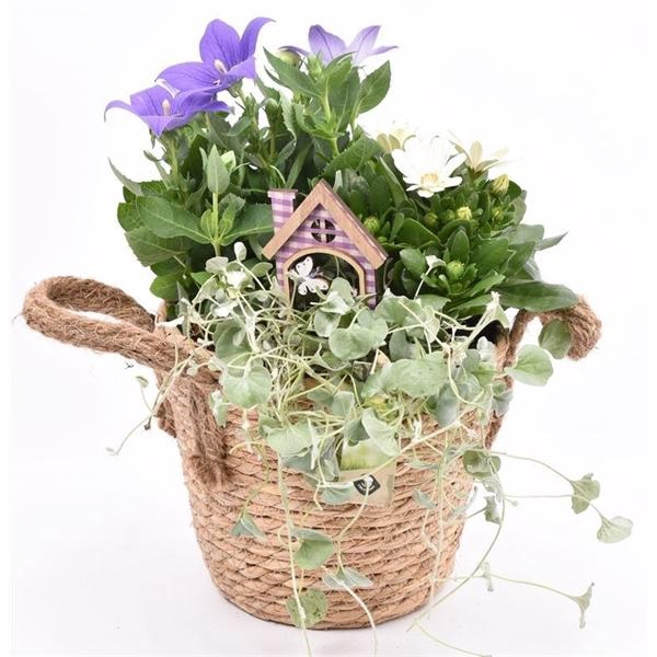 <h4>Touwmand met oren Dia 18</h4>