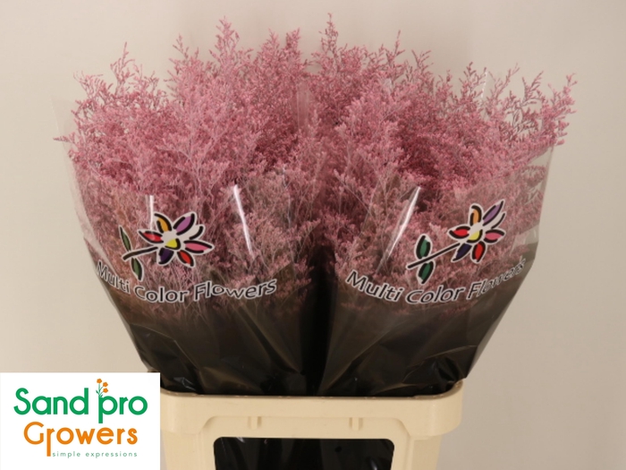 <h4>LIM OV KLB H%</h4>