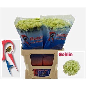 Di St Goblin Holl