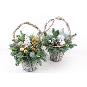 arr5 Kerst PL - Tasmand x3 LED