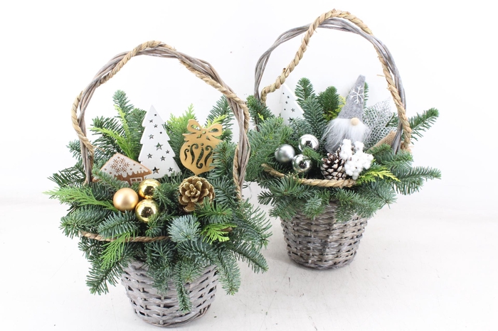 <h4>arr5 Kerst PL - Tasmand x3 LED</h4>