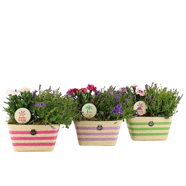<h4>31600: Outdoor summer arrangement</h4>