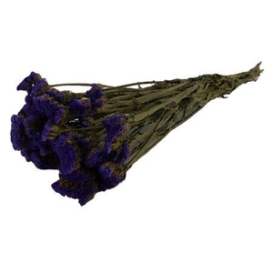 Bunch Statice Sinuata Slv 100g L40