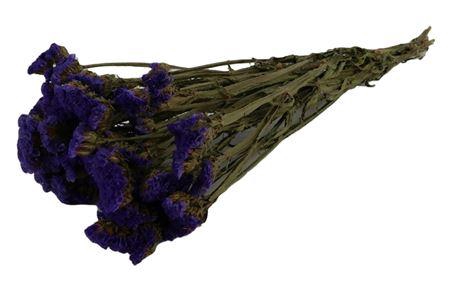 Bunch Statice Sinuata Slv 100g L40