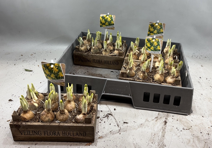 <h4>ARR N TETE A TETE</h4>