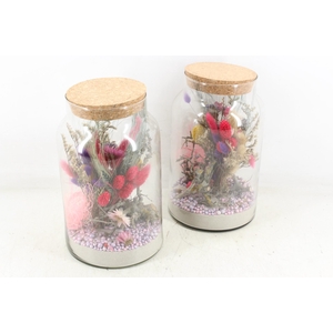 Arr2 Droogbl. Mb - Glas Napoleon 338/6