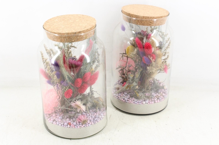 <h4>arr2 Droogbl. MB - Glas Napoleon 338/6</h4>