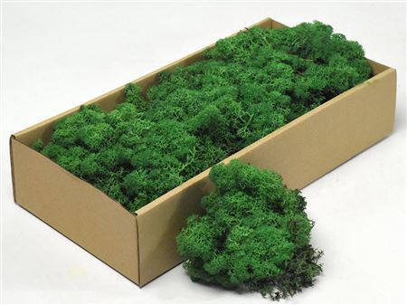 <h4>Mos Rendier Grass Green Gepr 500gr</h4>