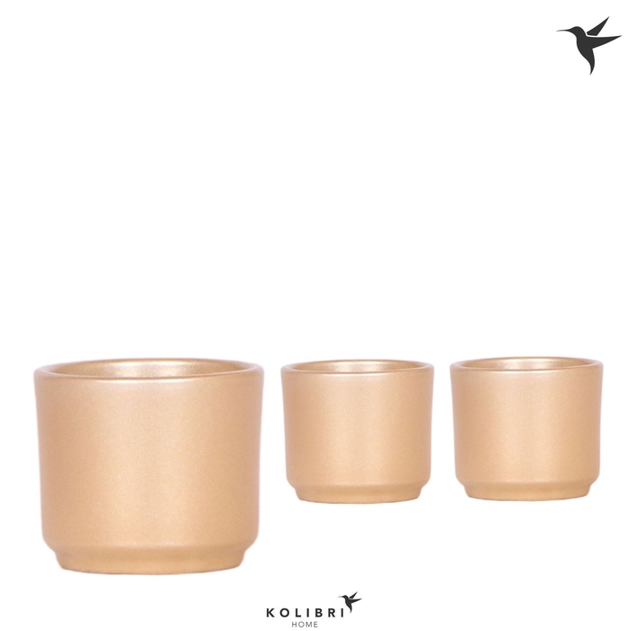 <h4>Kolibri Home Simplicity pot gold</h4>