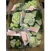Hydrangea blue 5/6 flowers