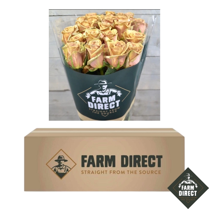 <h4>R GR TOFFEE (BOX)</h4>
