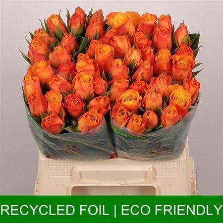 <h4>R Gr Confidential</h4>